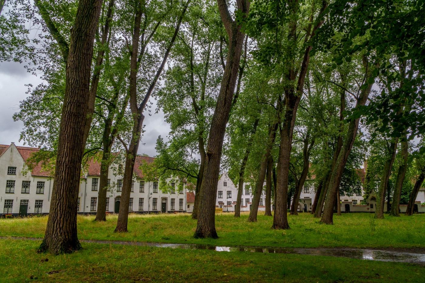 Begijnhof ten Wijngaerde in Brugge