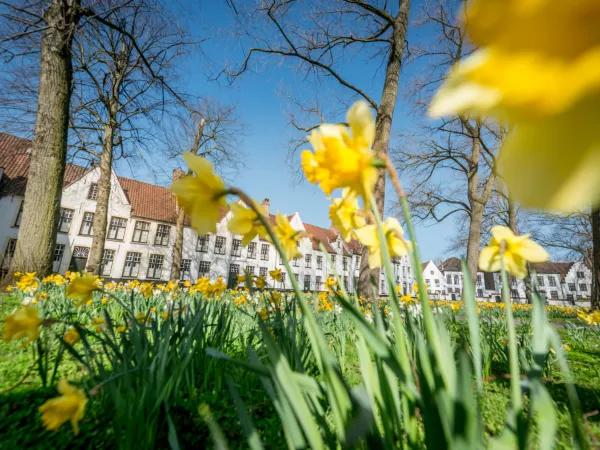 Beschermd en geborgen tentoonstelling